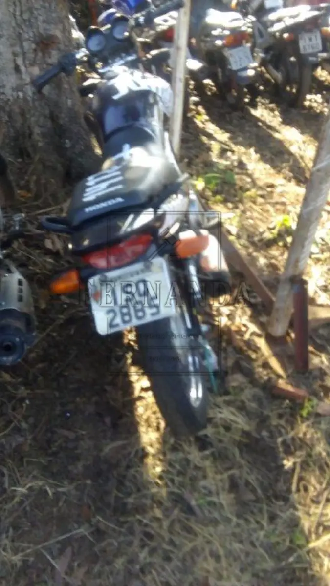 LOTE 2123