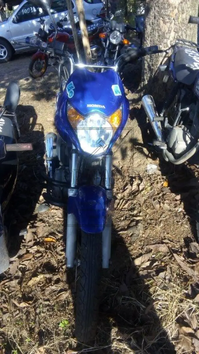 LOTE 2119