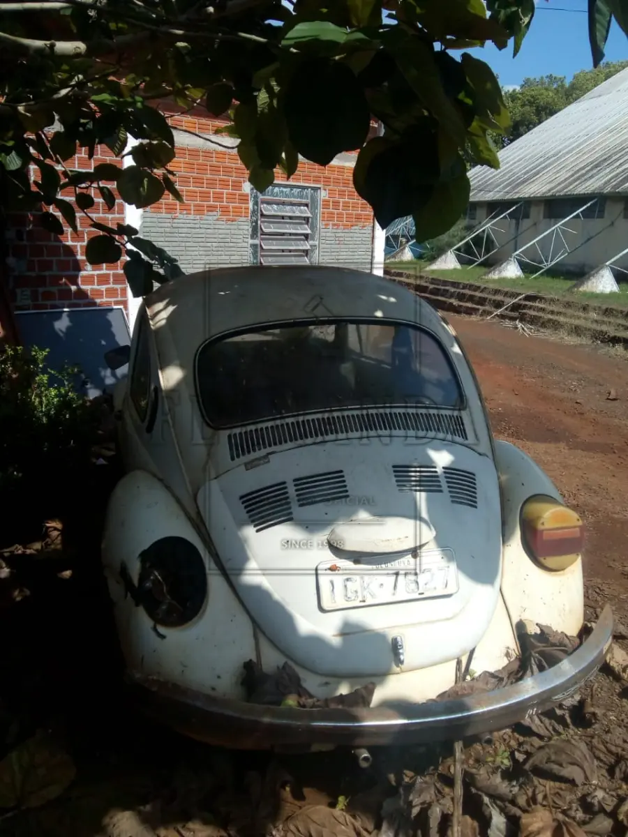 LOTE 001 - Veículo VW/Fusca 1300 - branco ano/modelo 1986, placa IGK7827