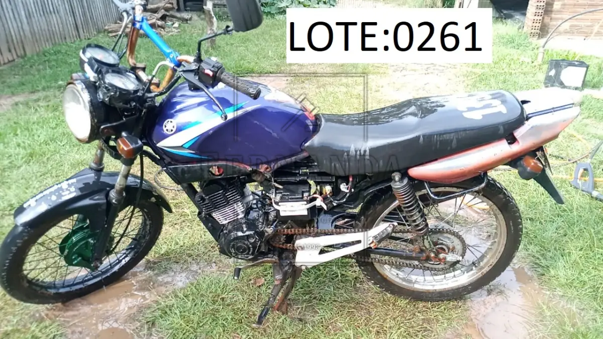 LOTE 0261