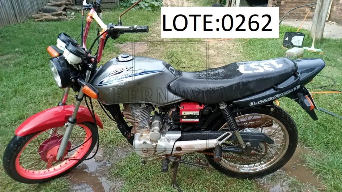 LOTE 0262