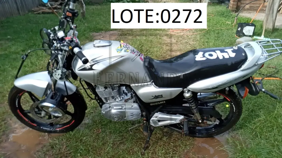 LOTE 0272