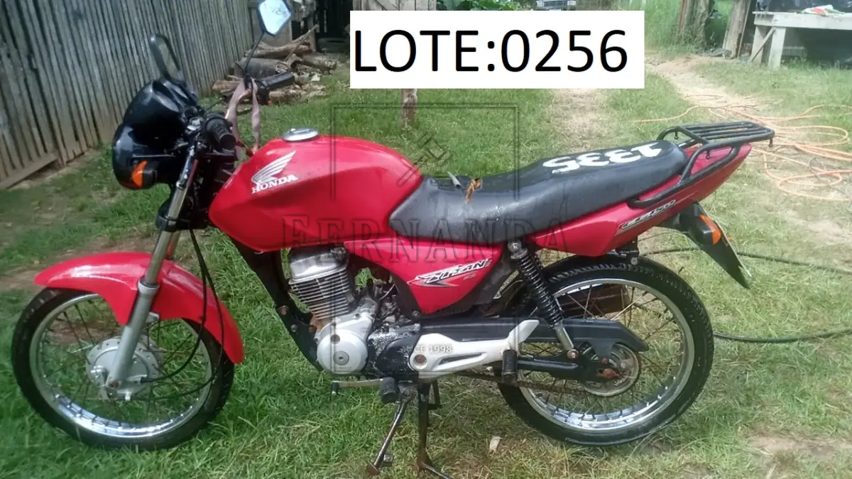 LOTE 0256