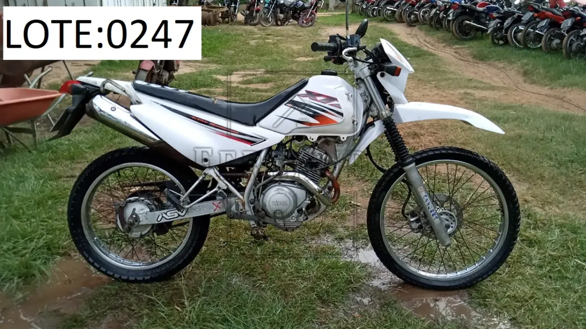 LOTE 0247