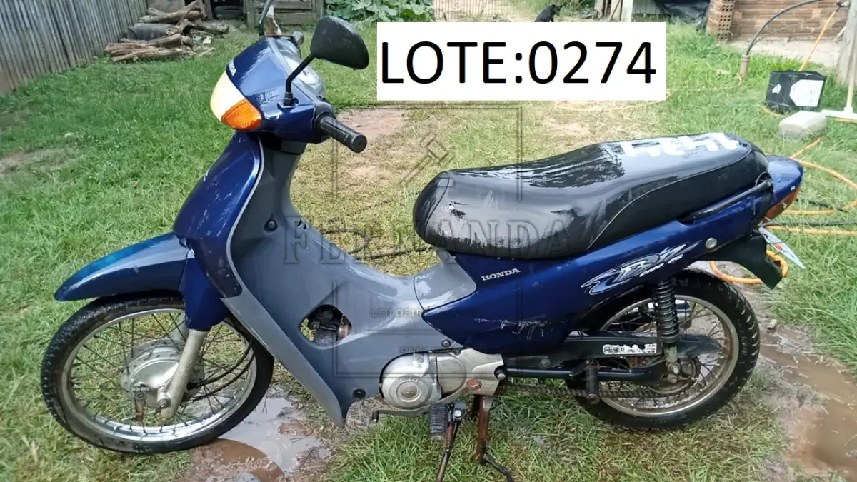 LOTE 0274