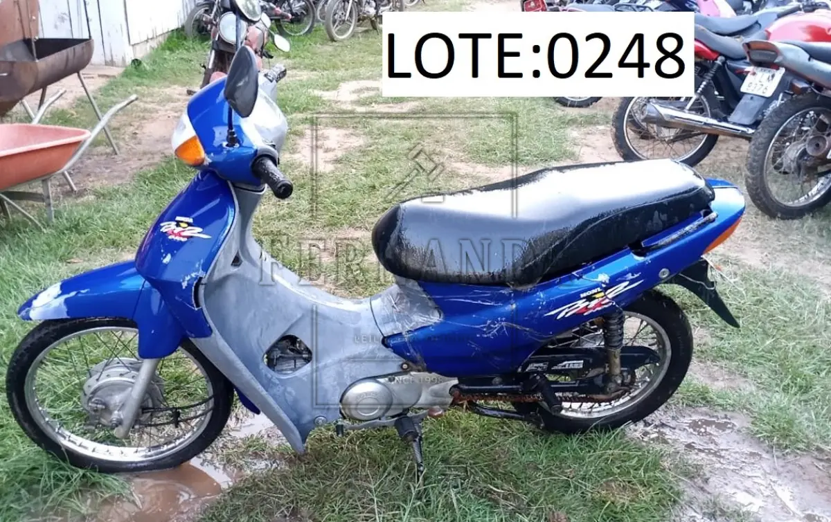 LOTE 0248