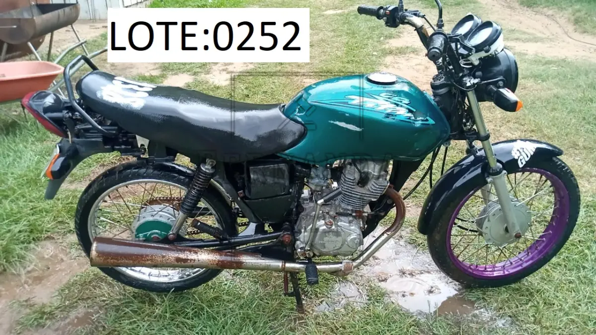 LOTE 0252