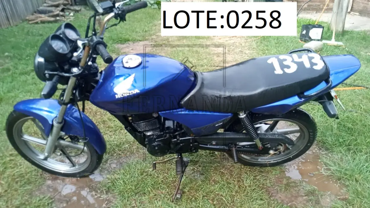 LOTE 0258