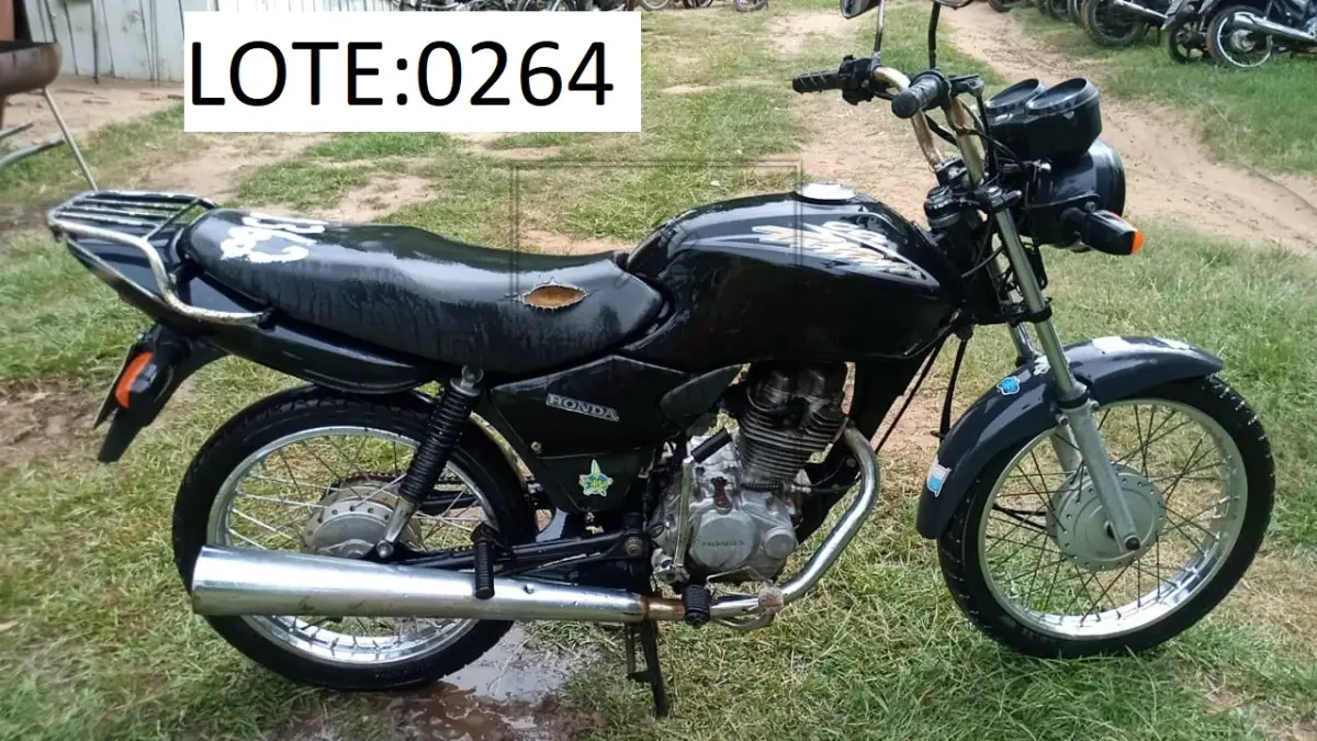 LOTE 0264