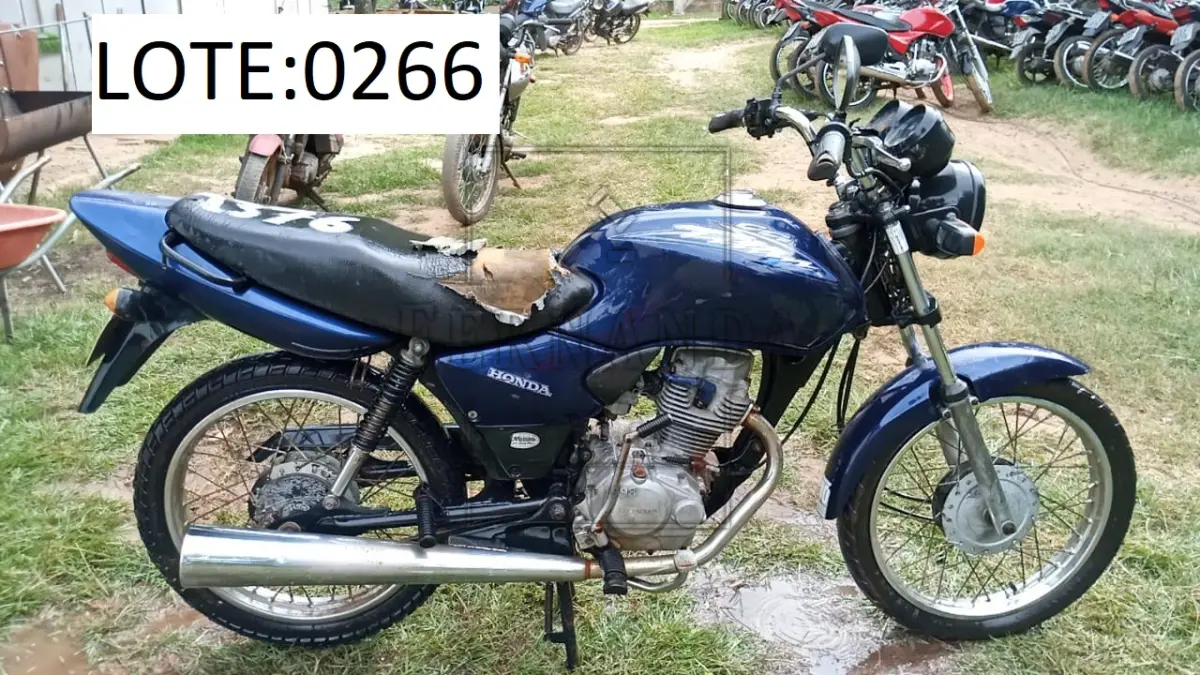 LOTE 0266