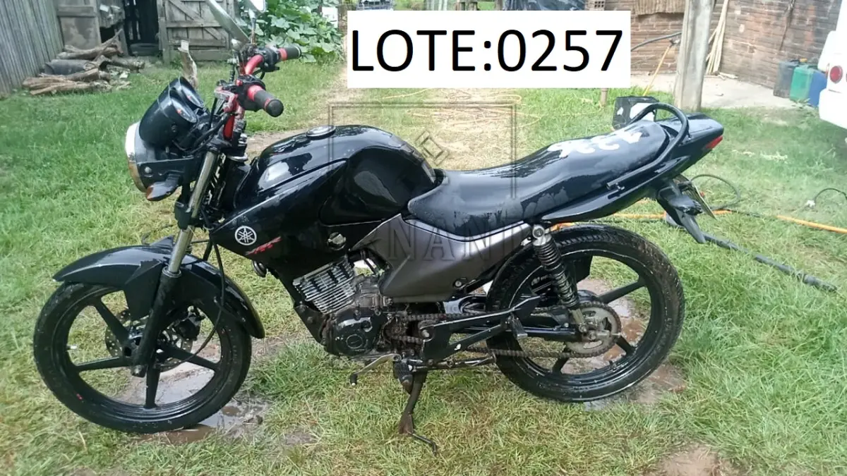 LOTE 0257