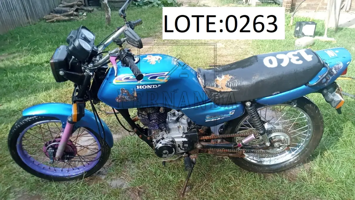 LOTE 0263