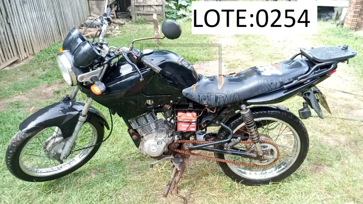 LOTE 0254