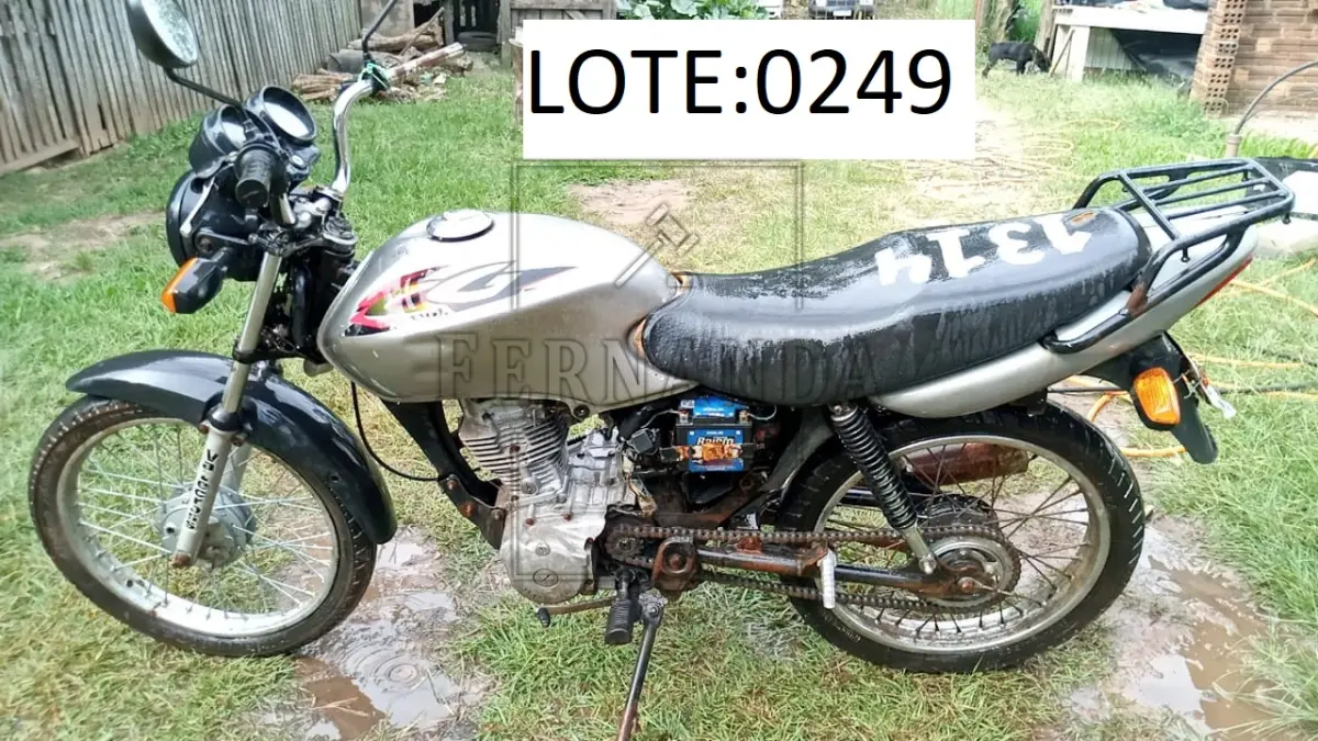 LOTE 0249