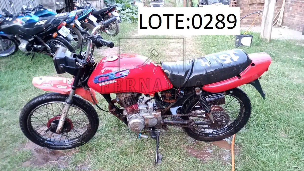 LOTE 0289