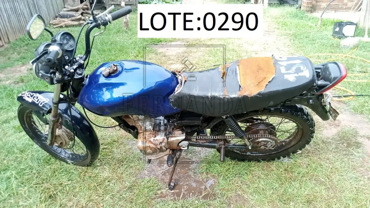 LOTE 0290