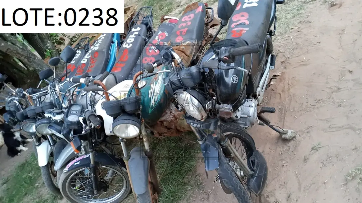 LOTE 0238