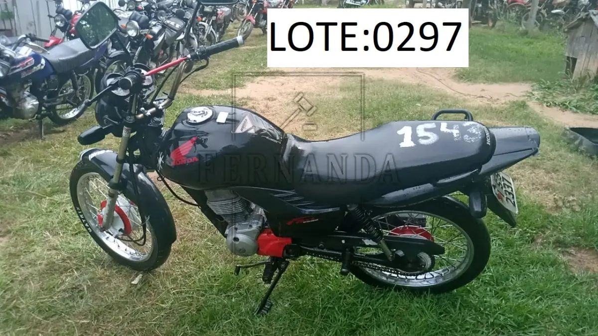LOTE 0297