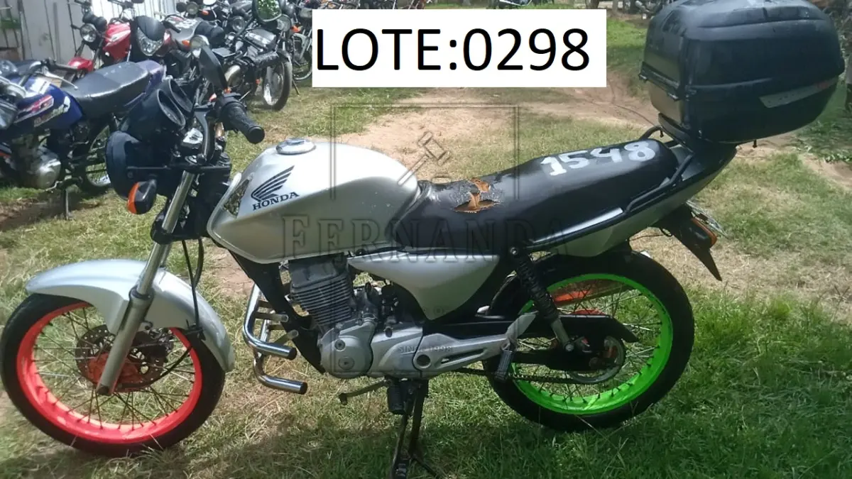 LOTE 0298