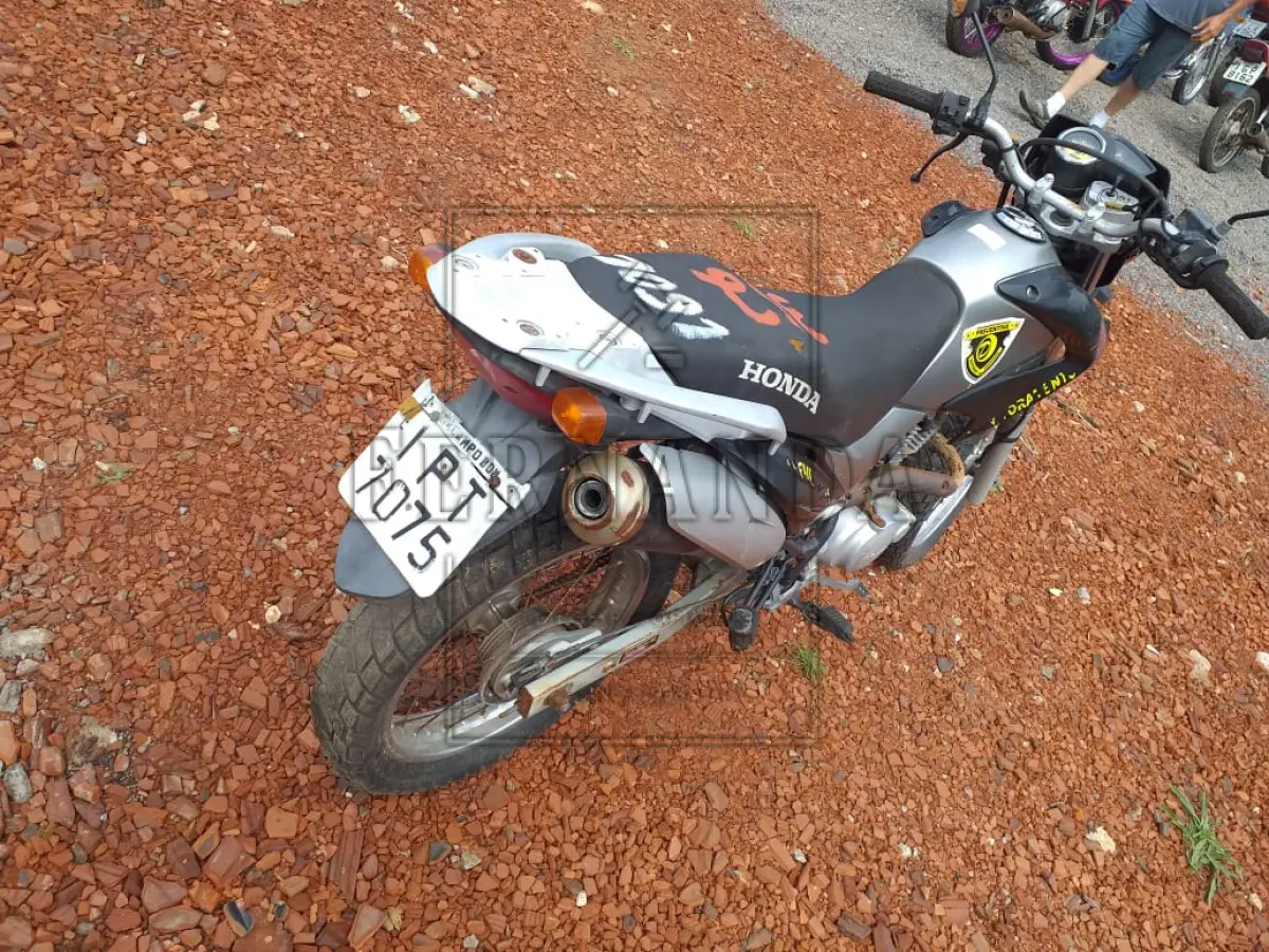 LOTE 0352