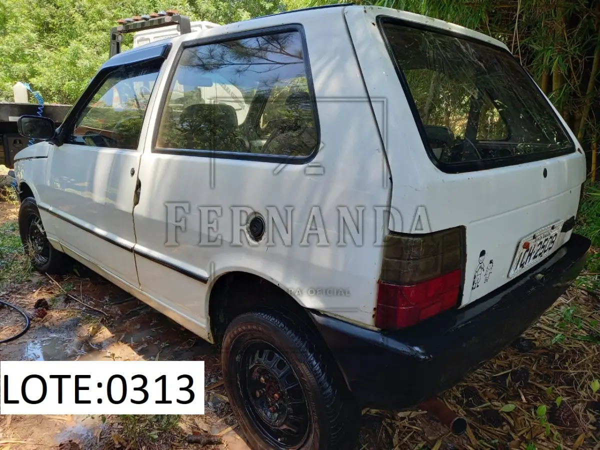 LOTE 0313