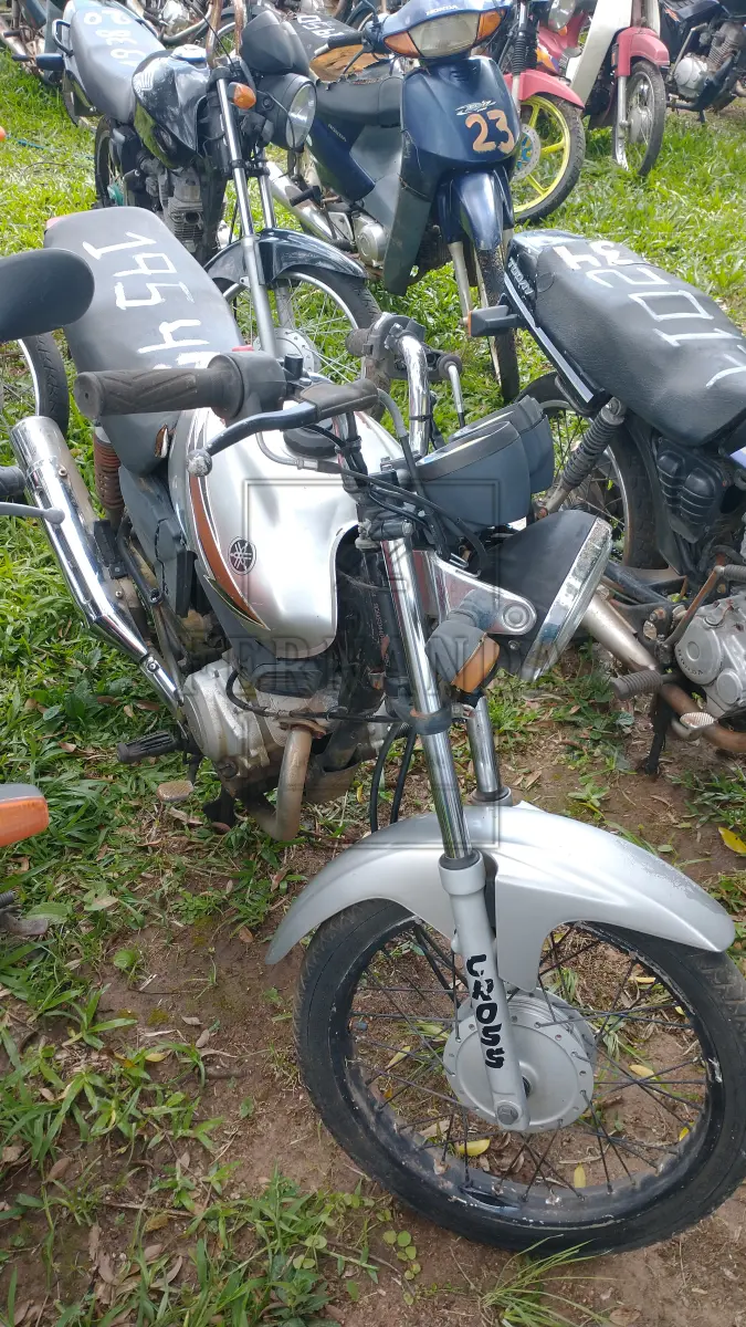 LOTE 0025