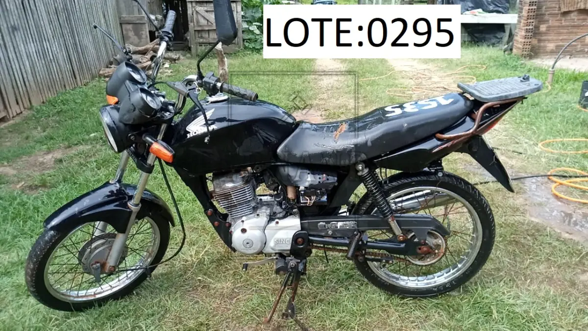 LOTE 0295