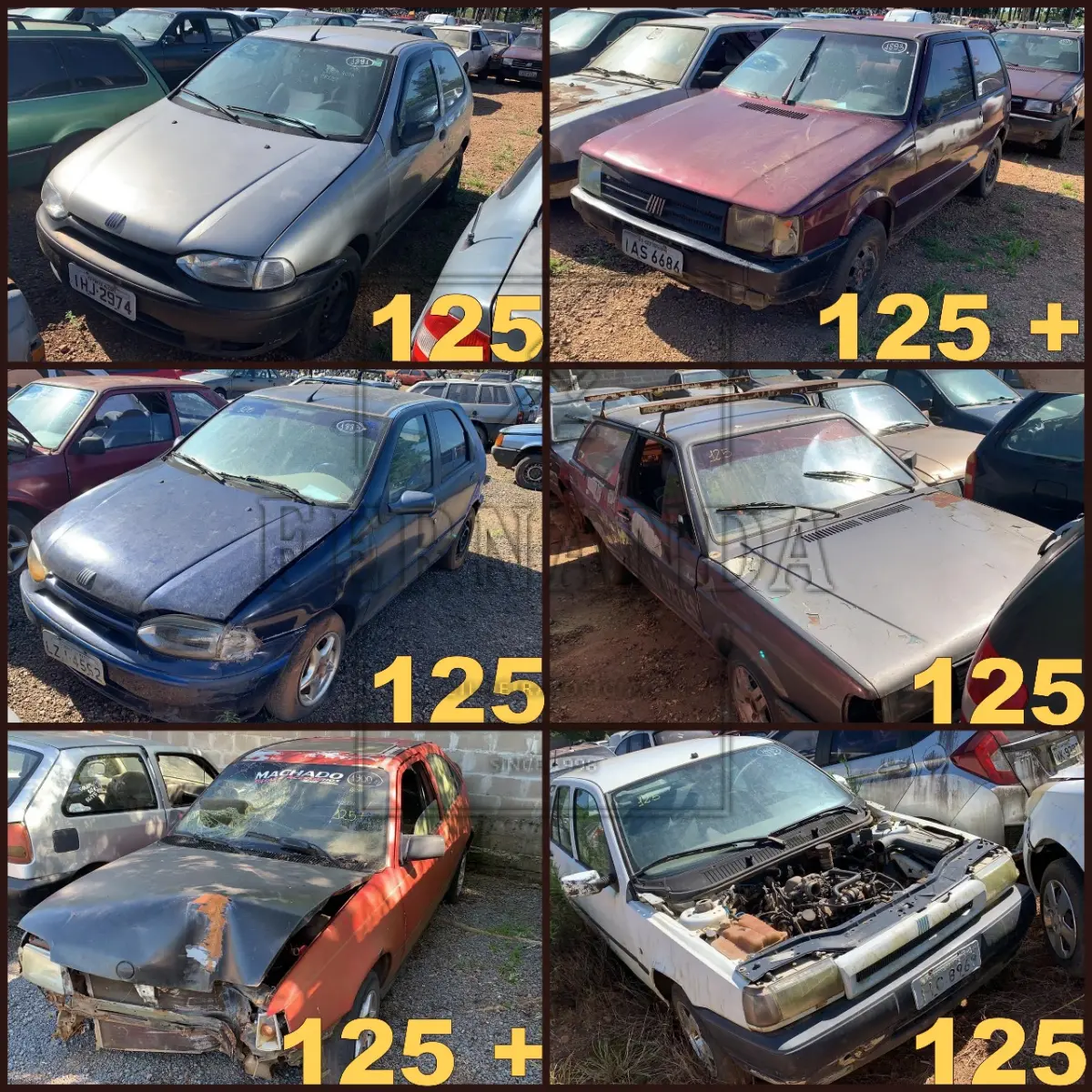 LOTE 0125