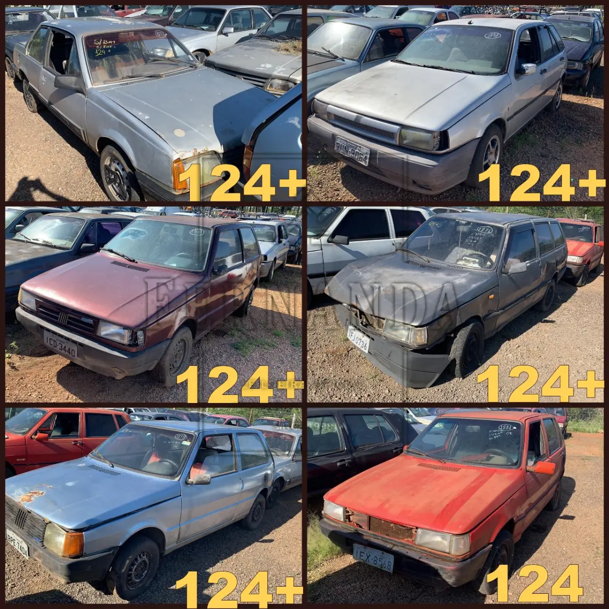 LOTE 0124