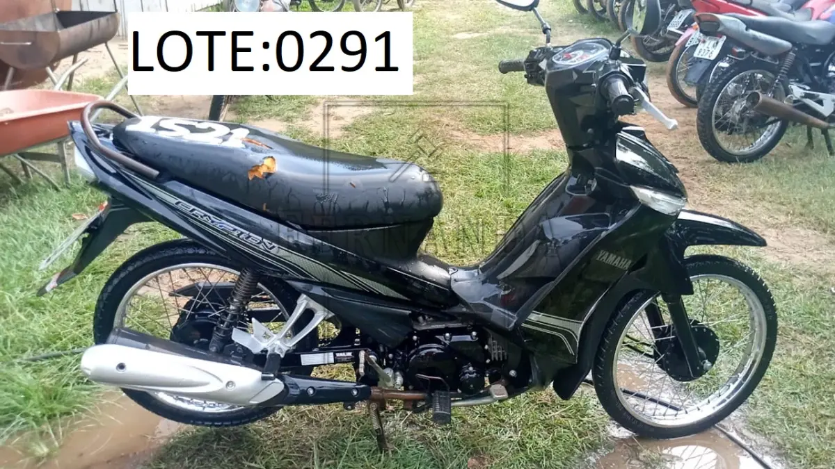 LOTE 0291