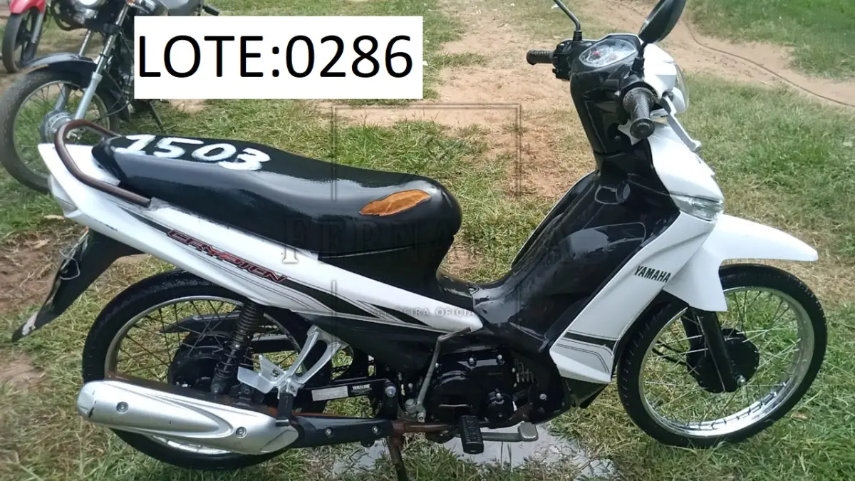 LOTE 0286