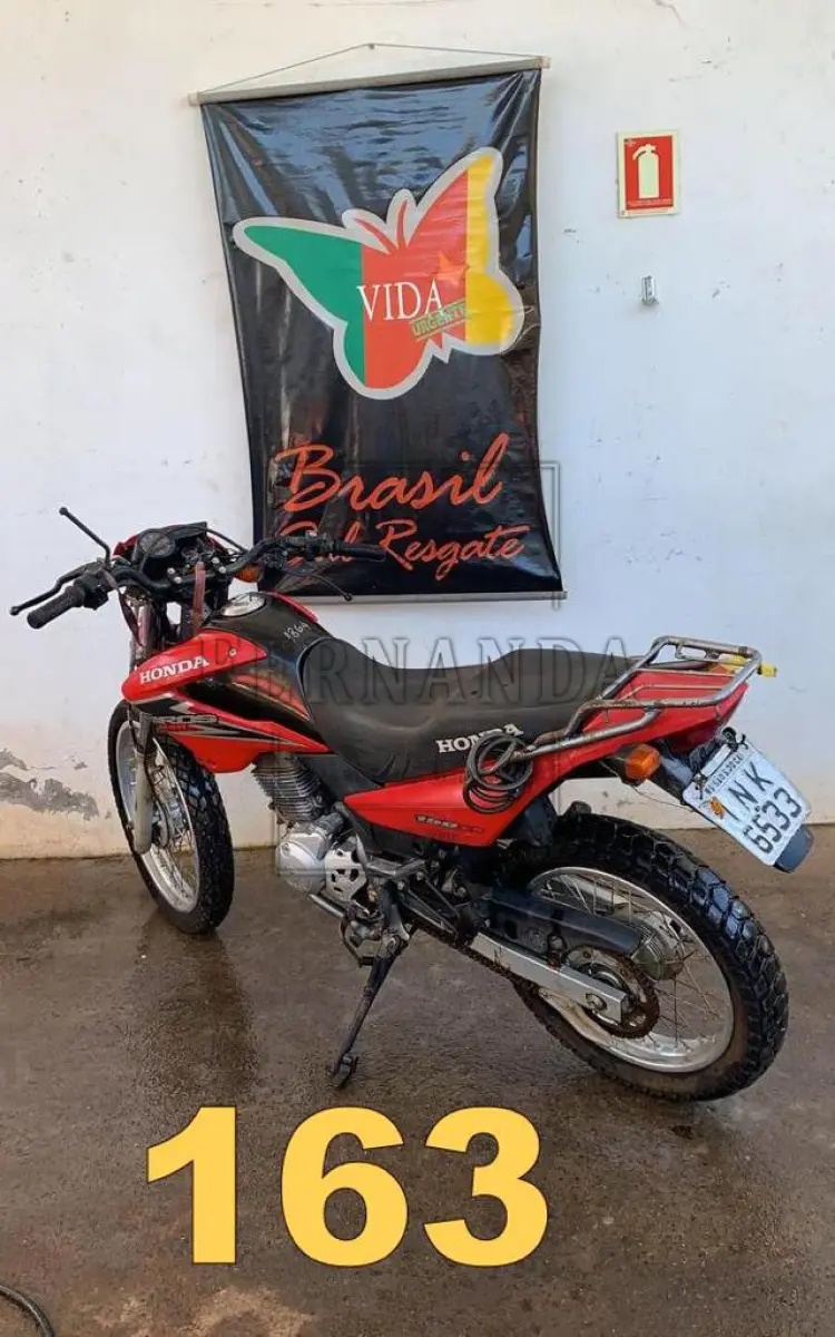 LOTE 0163