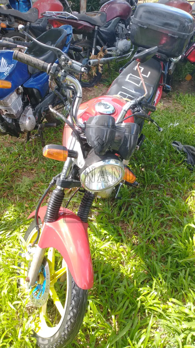 LOTE 0033
