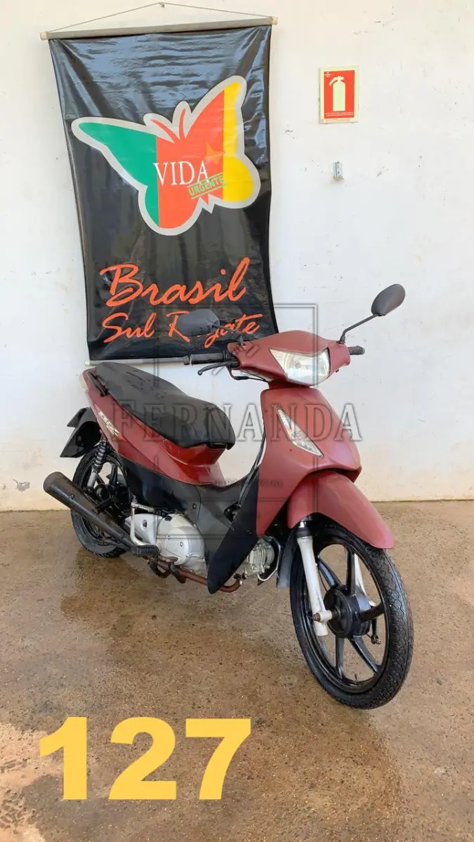 LOTE 0127