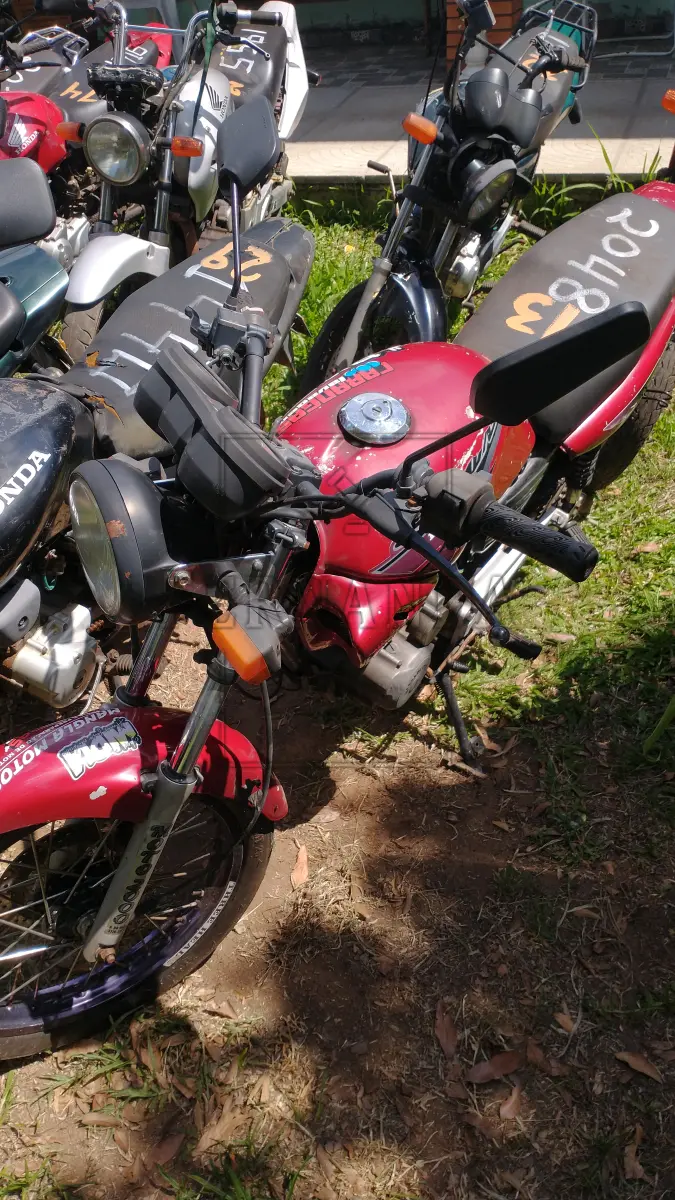LOTE 0043
