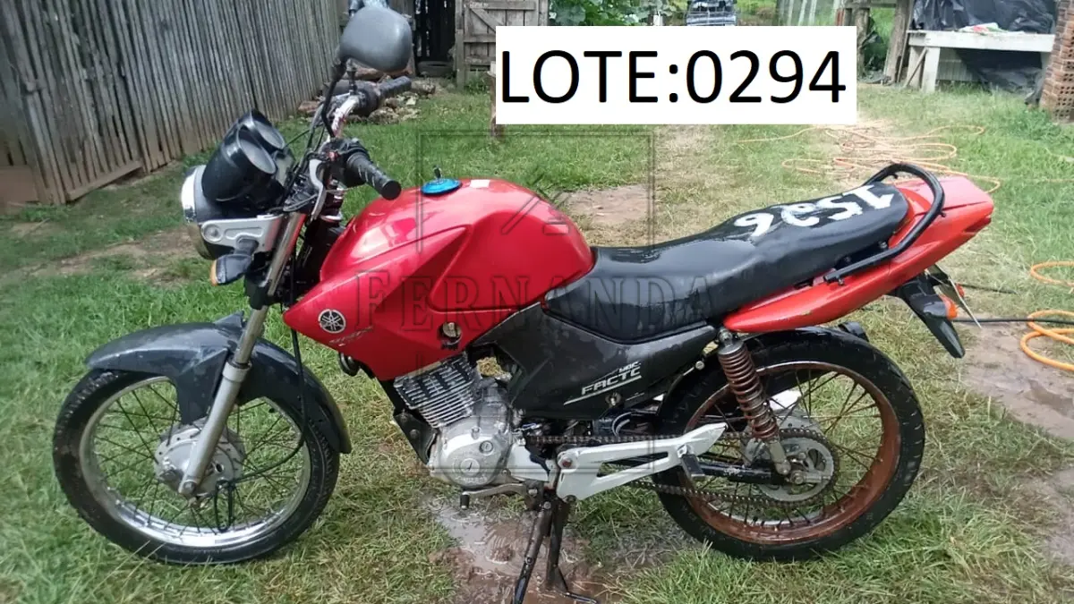 LOTE 0294