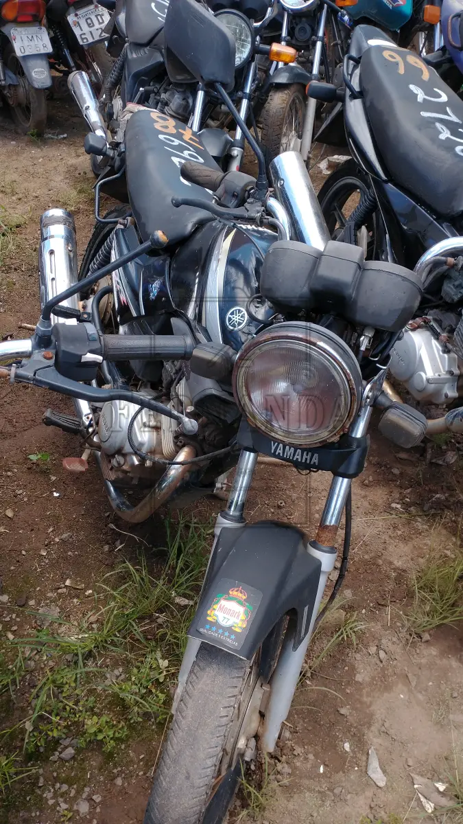 LOTE 0078