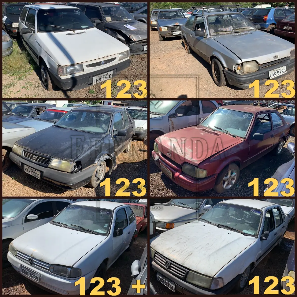 LOTE 0123