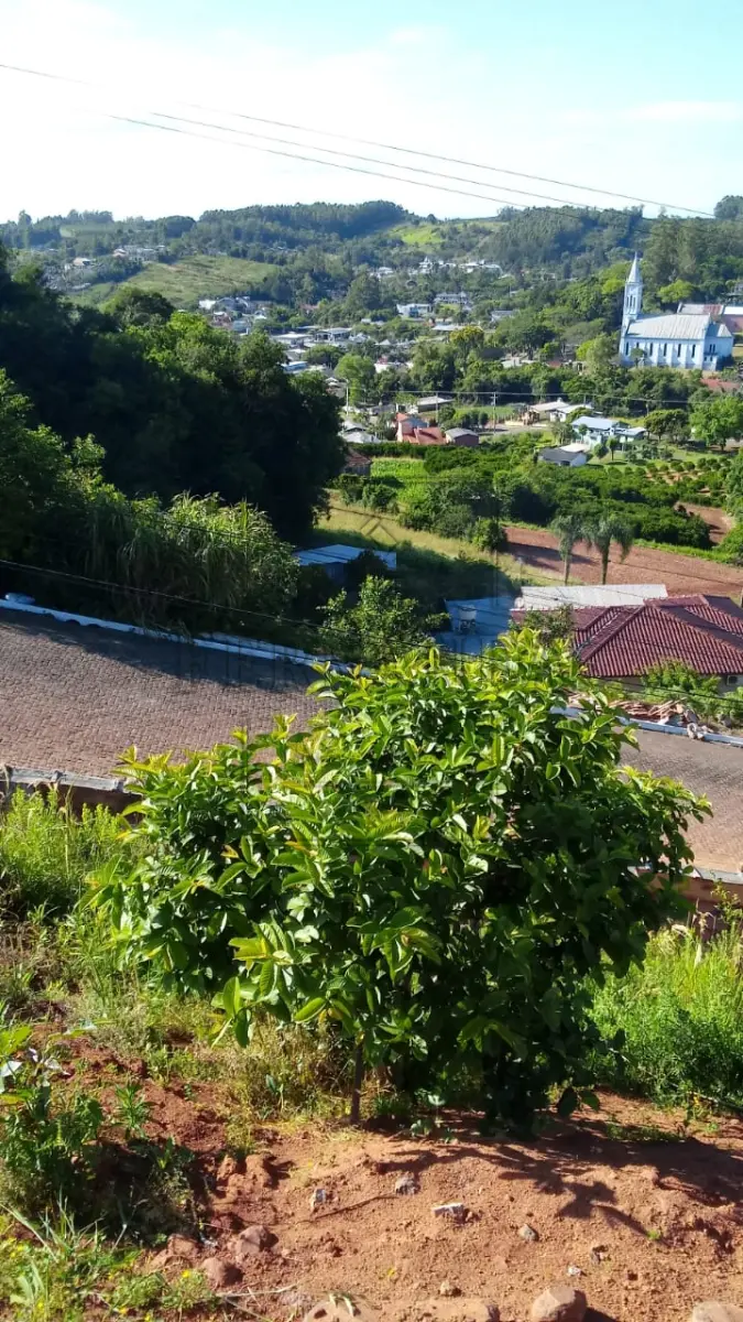 LOTE 001 - HARMONIA/RS - VENDA-DIRETA: TERRENO EM HARMONIA/RS: Um terreno com a superfície de 1.678,06m², sem benfeitorias, situado na zona urbana da cidade de Harmonia, sem quarteirão formado, medindo e confortando-se: ao Norte, onde mede 80,80m, com Flávio Pedro Weber; ao Sul, onde mede 87,00m com Edgar Sost; a Oeste, onde mede 20,00 com Flavio Pedro Weber, e a Leste onde mede 21,00m com Wunibaldo Orth. Matrícula n° 20.636 do CRI de São Sebastião do Caí. ACEITA-SE PARCELAMENTO ATUALIZADO (ATÉ 15 VEZES). IMÓVEL AVALIADO EM R$270.000,00.