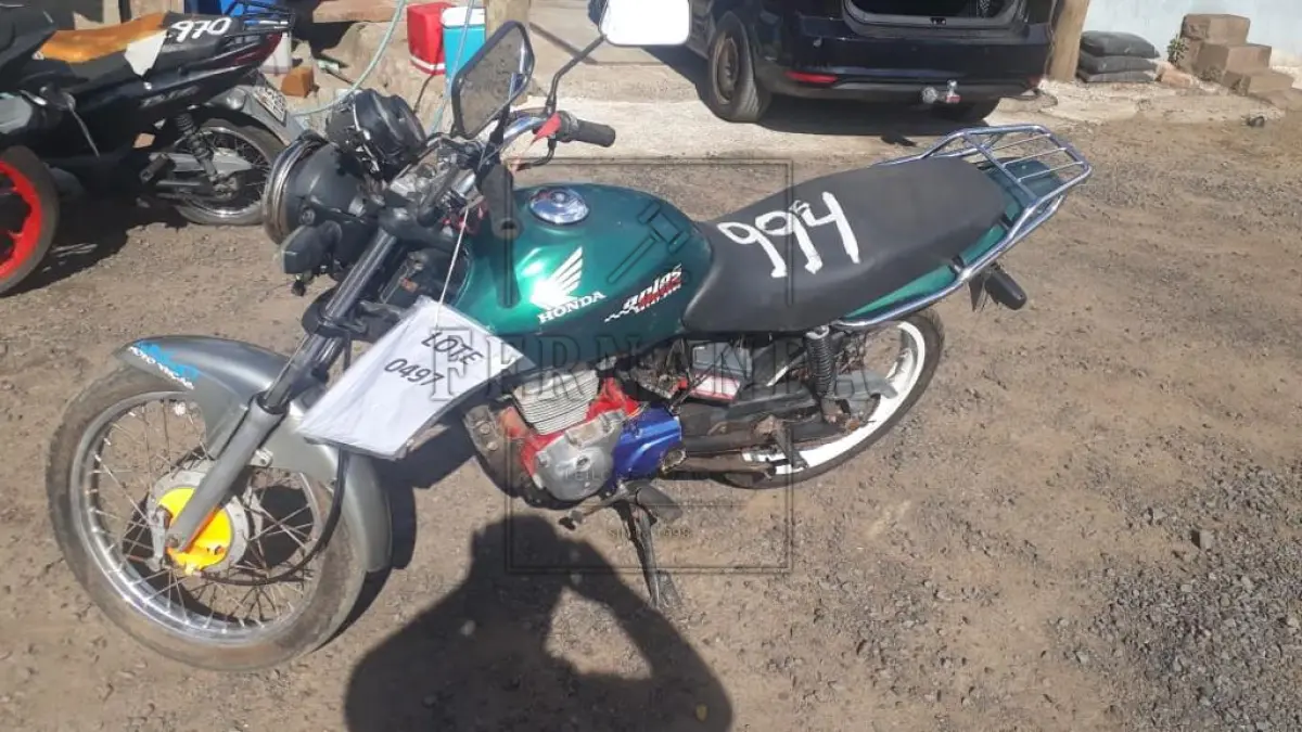 LOTE 0497