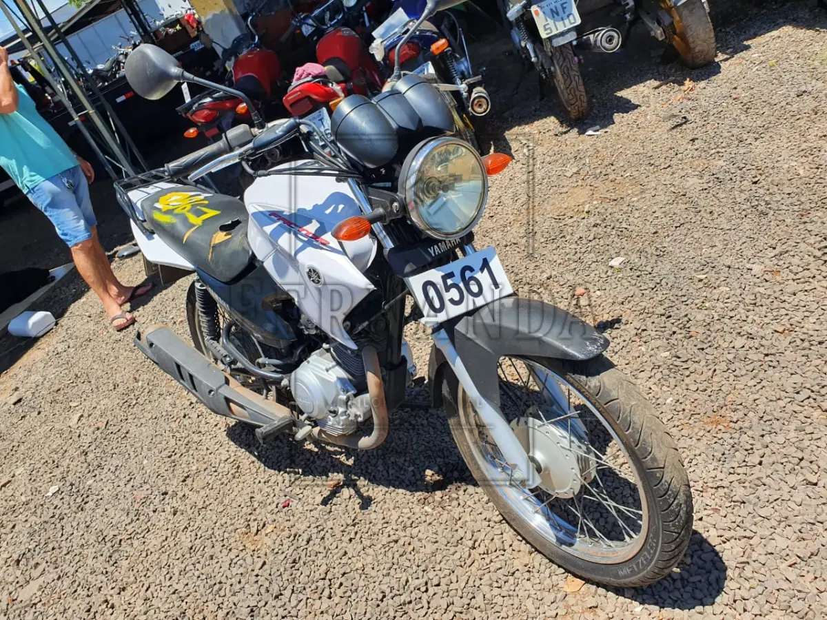 LOTE 0561