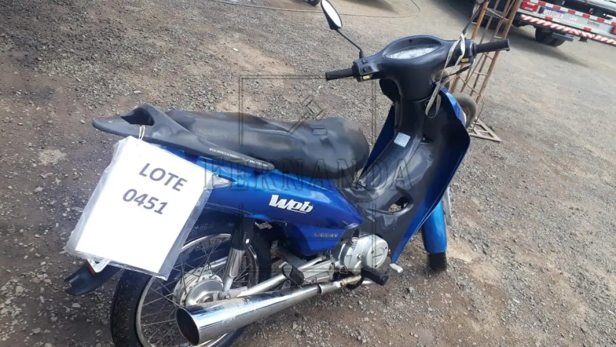 LOTE 0451