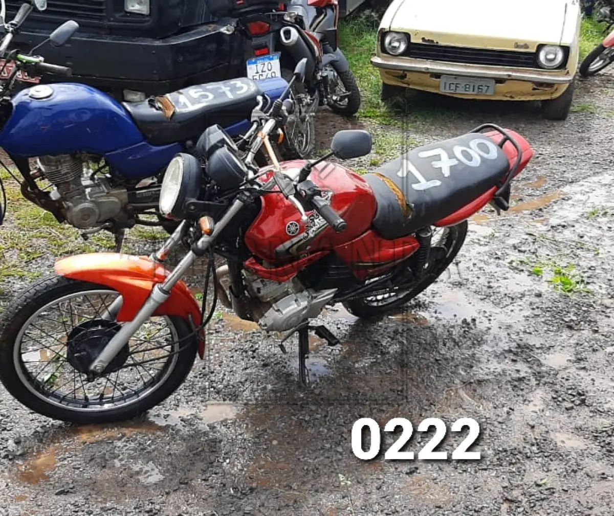 LOTE 0222