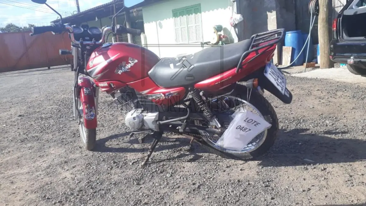 LOTE 0487