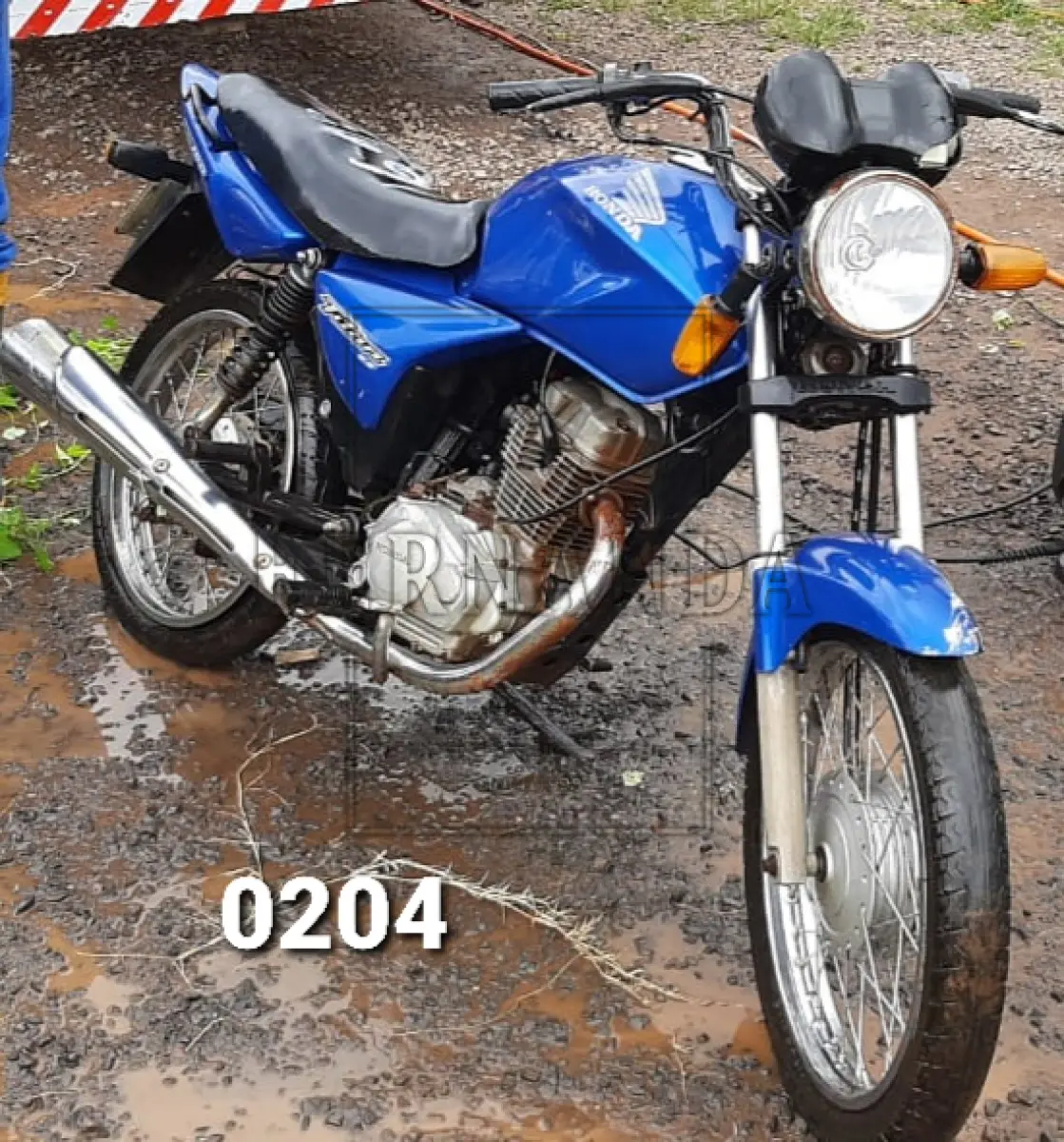 LOTE 0204