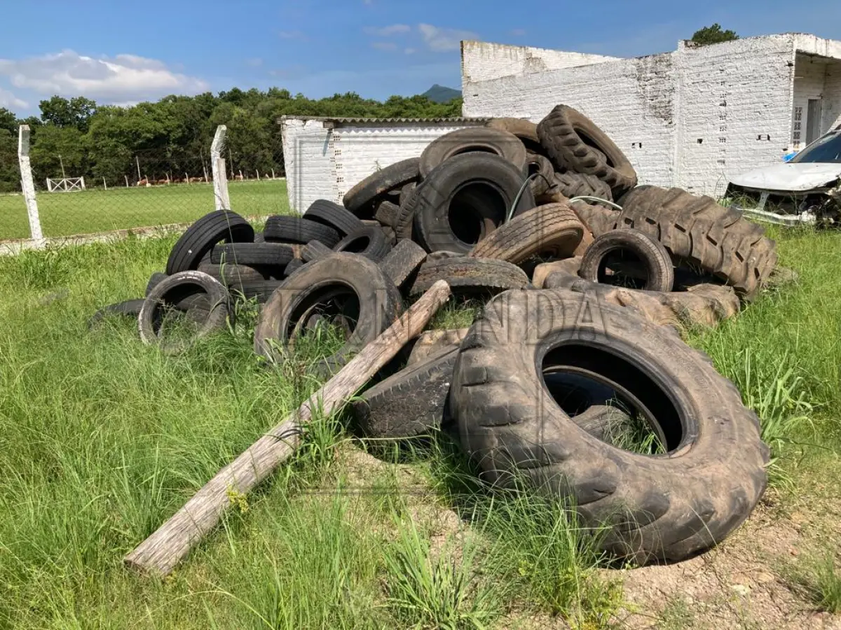 LOTE 018 - Sucata de pneus variados em torno de 188 pneus. Avaliado em R$ 200,00.