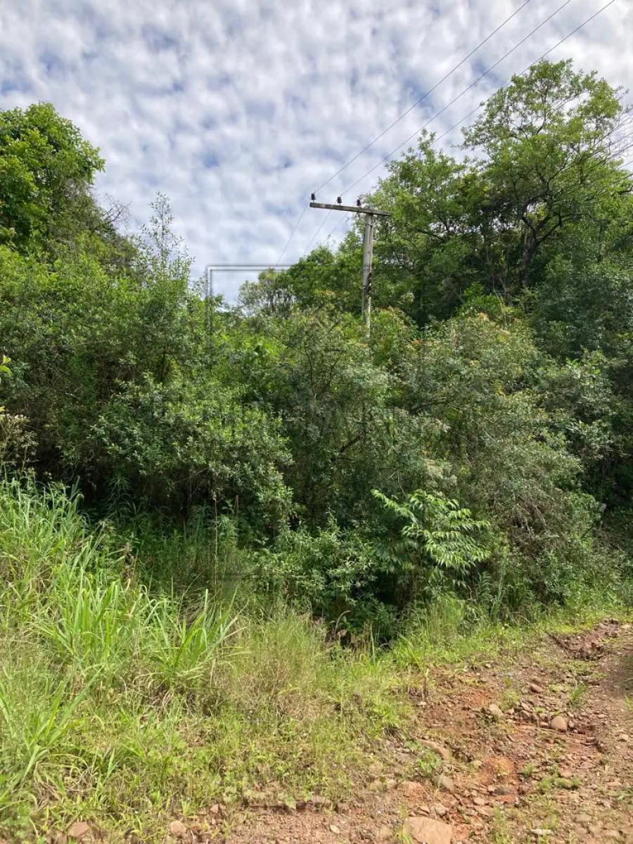 LOTE 001 - HARMONIA/RS - VENDA DIRETA - A parte ideal de 9.000,00m² (nove mil metros quadrados), dentro de área maior de 30.000,00m², sem benfeitorias, situada em Matiel, município de Harmonia, zona rural. Matrícula n° 18.740. Avaliado em R$ 380.000,00. ACEITA-SE PARCELAMENTO ATUALIZADO(ATÉ 15 VEZES).