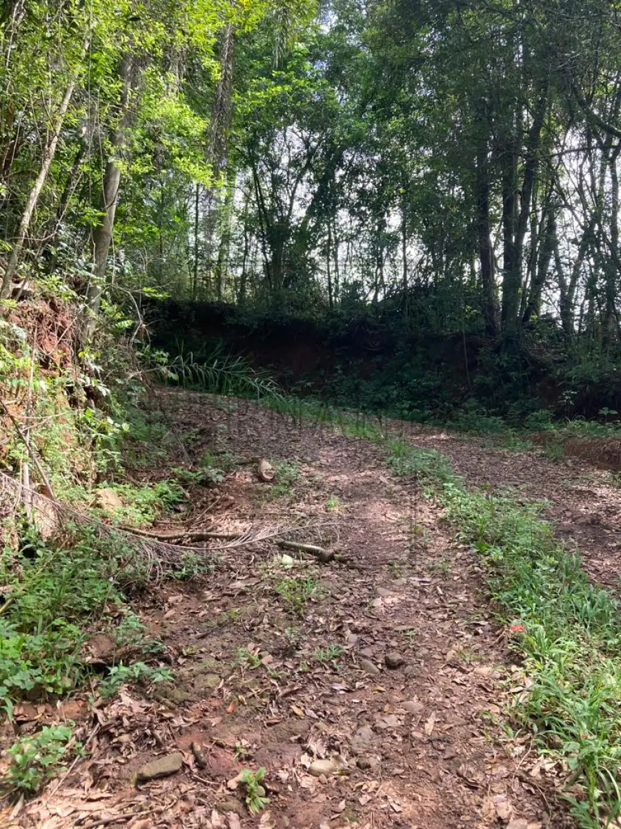 LOTE 001 - HARMONIA/RS - VENDA DIRETA - A parte ideal de 9.000,00m² (nove mil metros quadrados), dentro de área maior de 30.000,00m², sem benfeitorias, situada em Matiel, município de Harmonia, zona rural. Matrícula n° 18.740. Avaliado em R$ 380.000,00. ACEITA-SE PARCELAMENTO ATUALIZADO(ATÉ 15 VEZES).