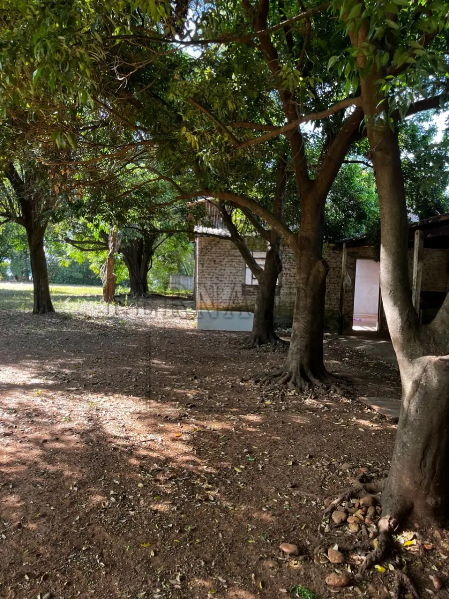 LOTE 023