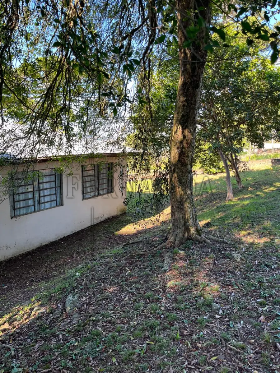 LOTE 005 - IMÓVEL EM SANTA TEREZA/RS: Terreno de 2.980,00m² localizado na Linha primeira Secção de Santa Barbara, Comunidade de São Valentim, Prédio da antiga Escola Municipal Rodrigues Alves. Avaliado em R$ 450.000,00. ACEITA-SE PARCELAMENTO.